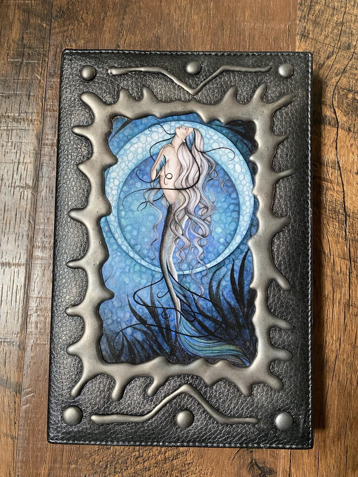jessica galbreth Mermaid Lined Journal 2006 jessica galbreth Mermaid Lined Journal 2006