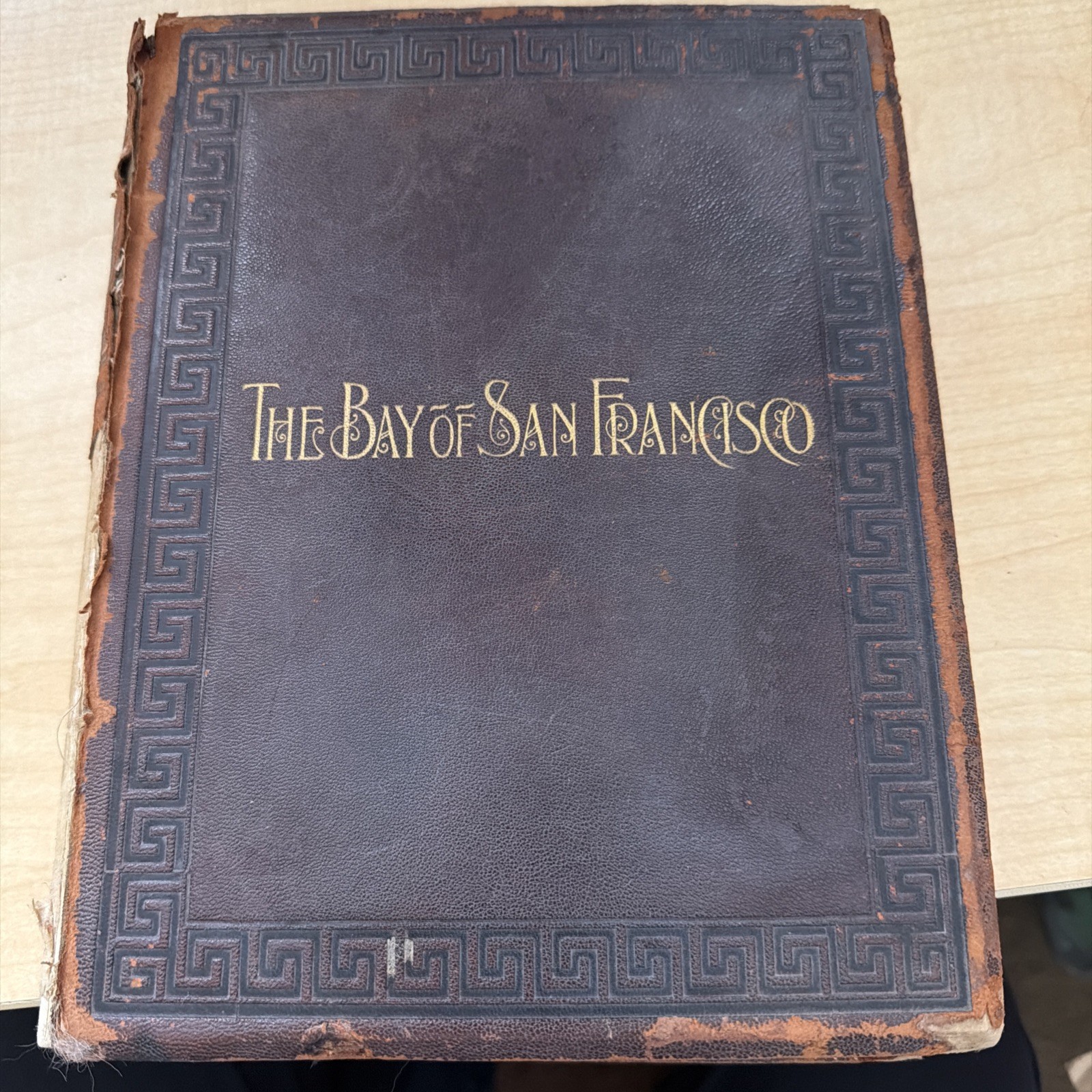 Bay of San Fransisco Metropolis PAcific Coast and its Suburban 1892 Vol1 Book