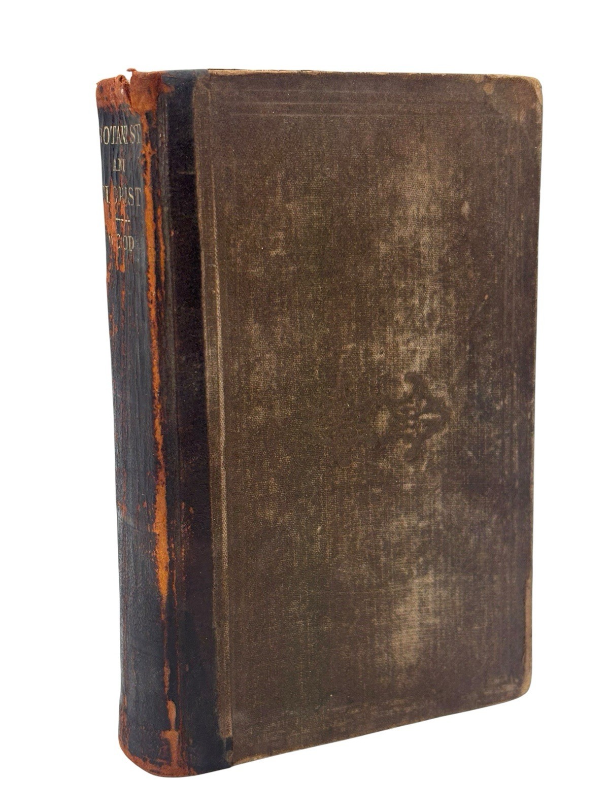 Antique 1875 American Botanist and Florist Alphonso Wood Illustrated Botany Antique 1875 American Botanist and Florist Alphonso Wood Illustrated Botany