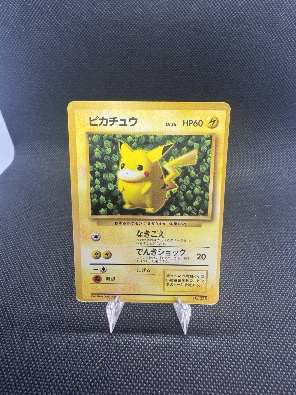 Pikachu No.025 Ivy Glossy CoroCoro Promo 1996 Japanese Pokemon Card Ken Sugimori Pikachu No.025 Ivy Glossy CoroCoro Promo 1996 Japanese Pokemon Card Ken Sugimori