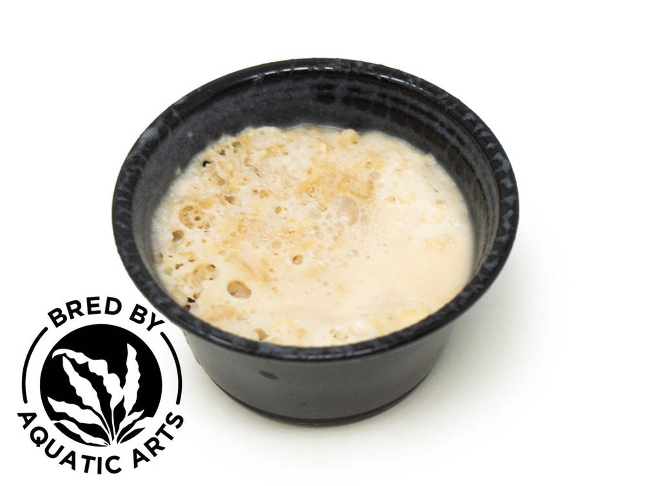 Live Microworm (Panagrellus sp.) Cultures - Aquatic Arts - FREE 1 DAY SHIPPING