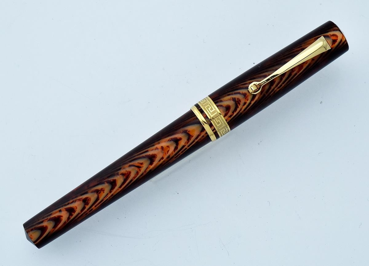 ARMANDO SIMONI CLUB ASC BOLOGNA MEDIO ARCO BROWN CELLULOID SPINA FOUNTAIN PEN F