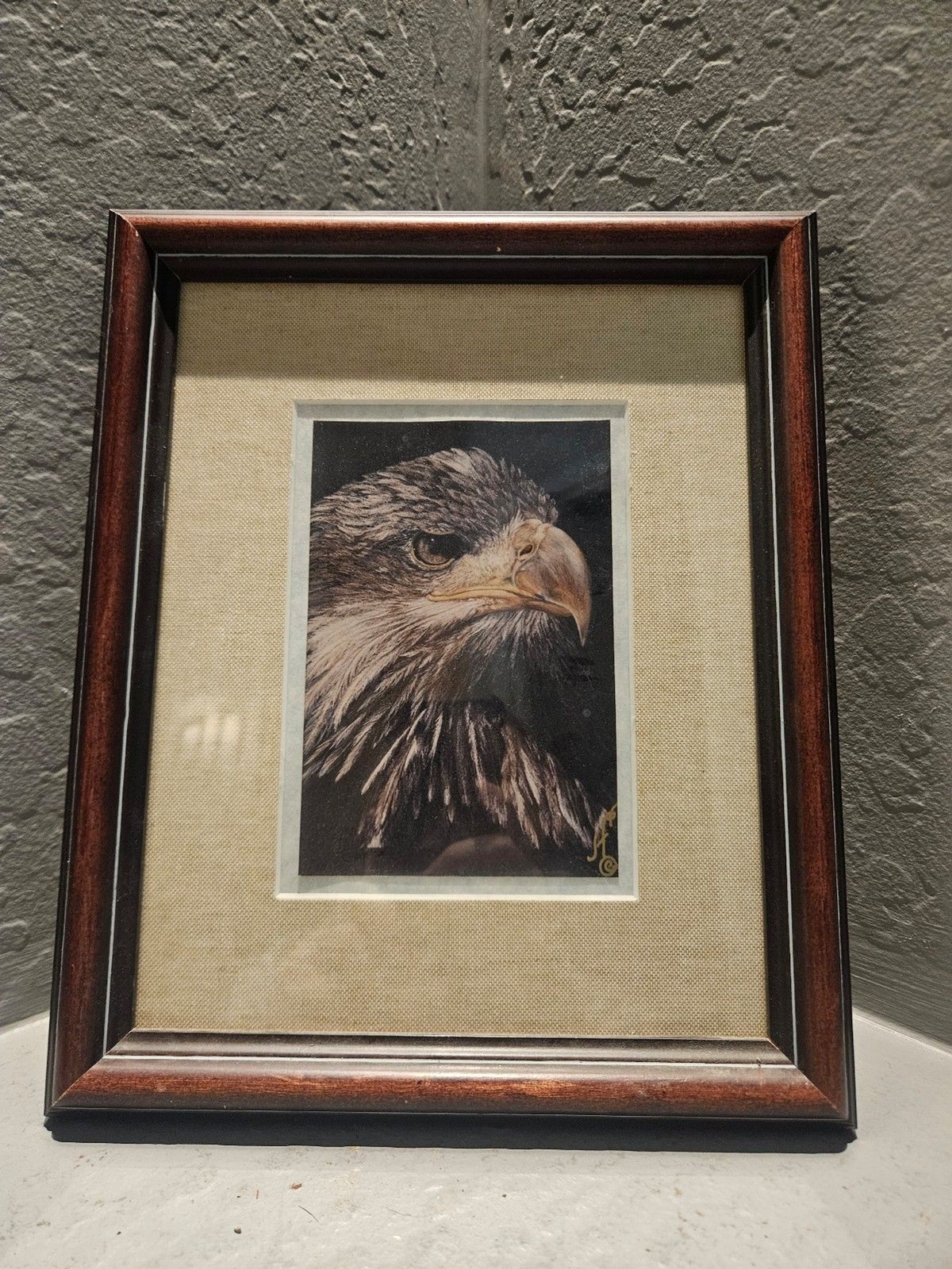 Framed Eagle Signed and Matted Picture 12\ Framed Eagle Signed and Matted Picture 12\