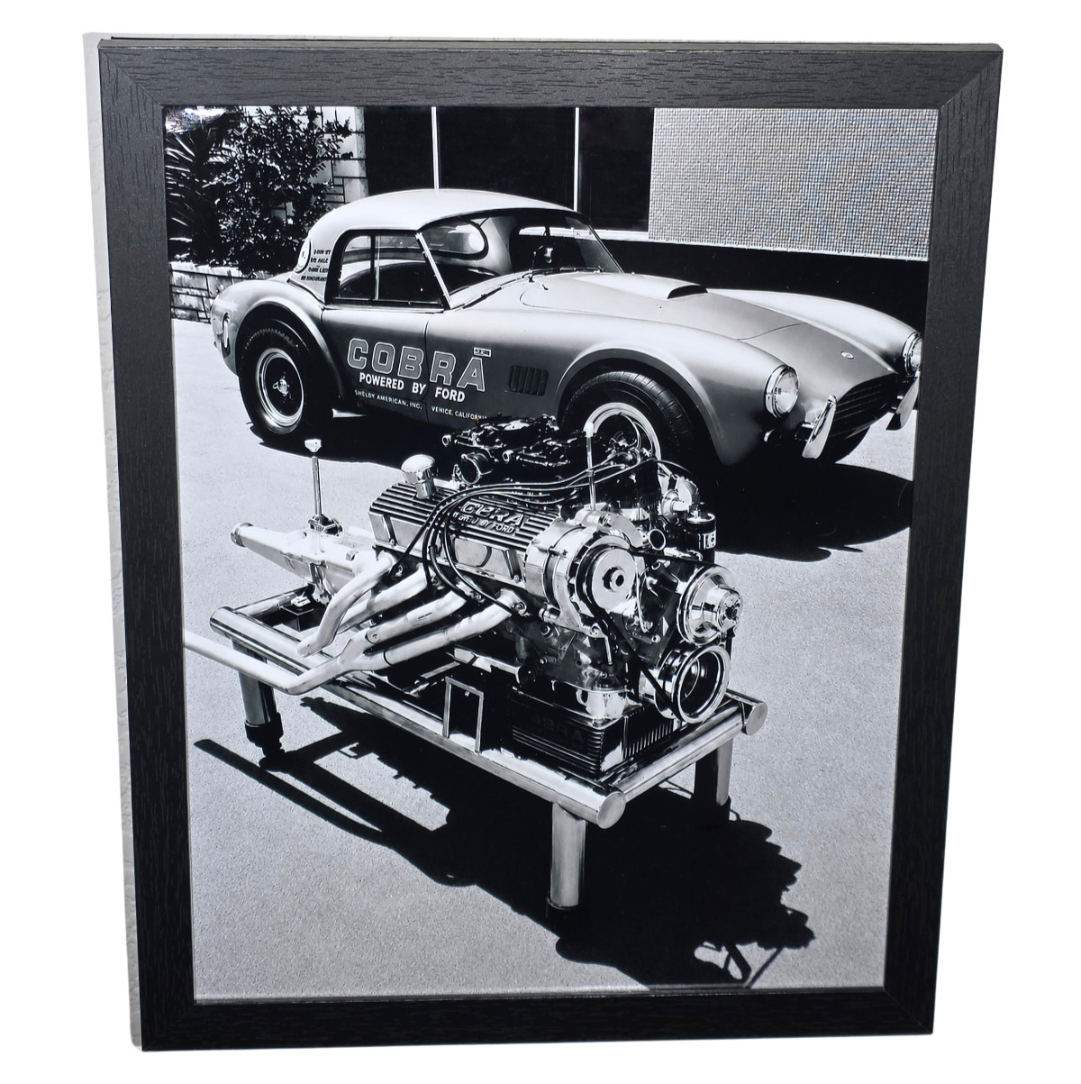 Framed 1965 Shelby American Cobra 289 Dragonsnake - Ready to Display 8.5x11