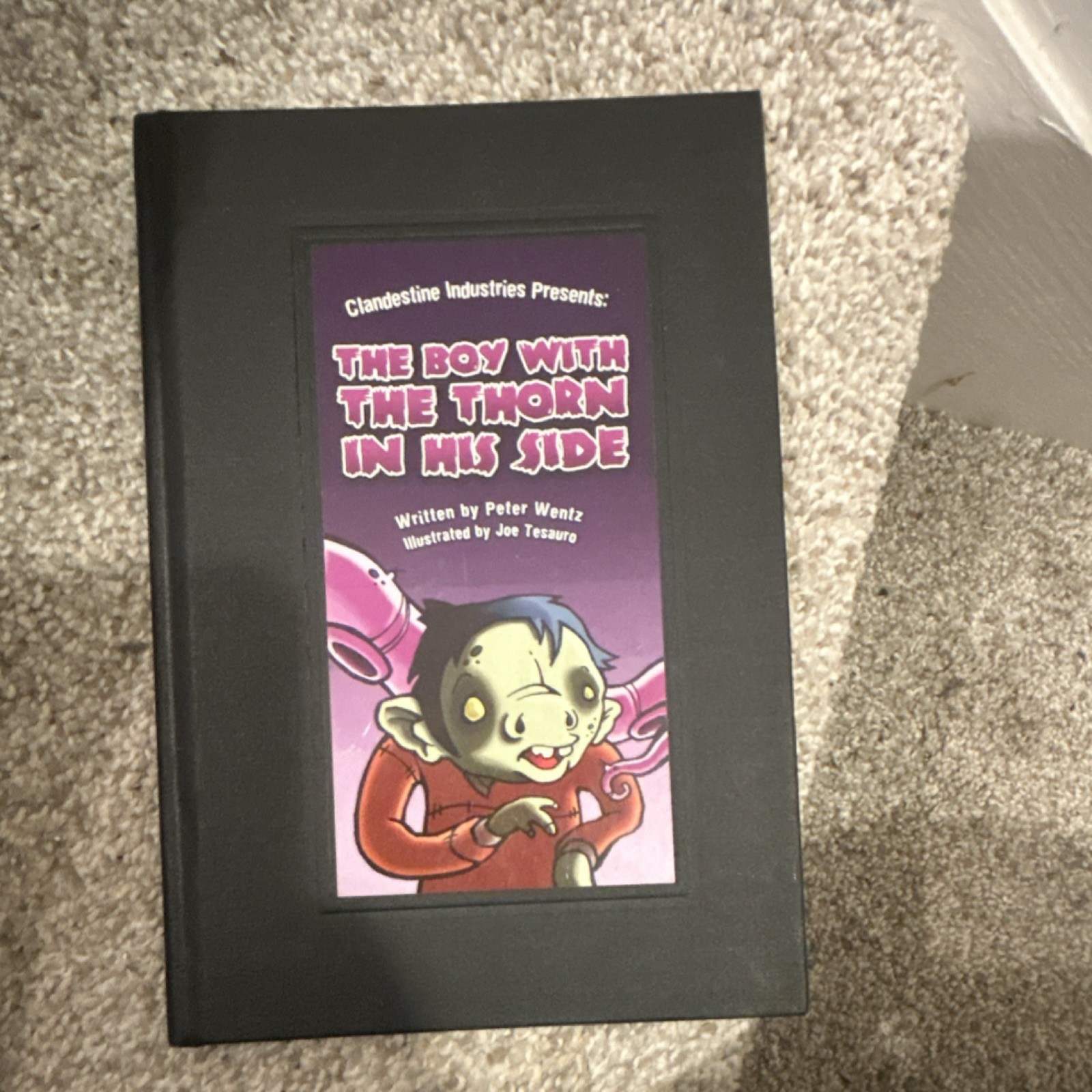 The Boy With The Thorn In His Side Hardcover by Peter Wentz, Illustrated by Joe… The Boy With The Thorn In His Side Hardcover by Peter Wentz, Illustrated by Joe…