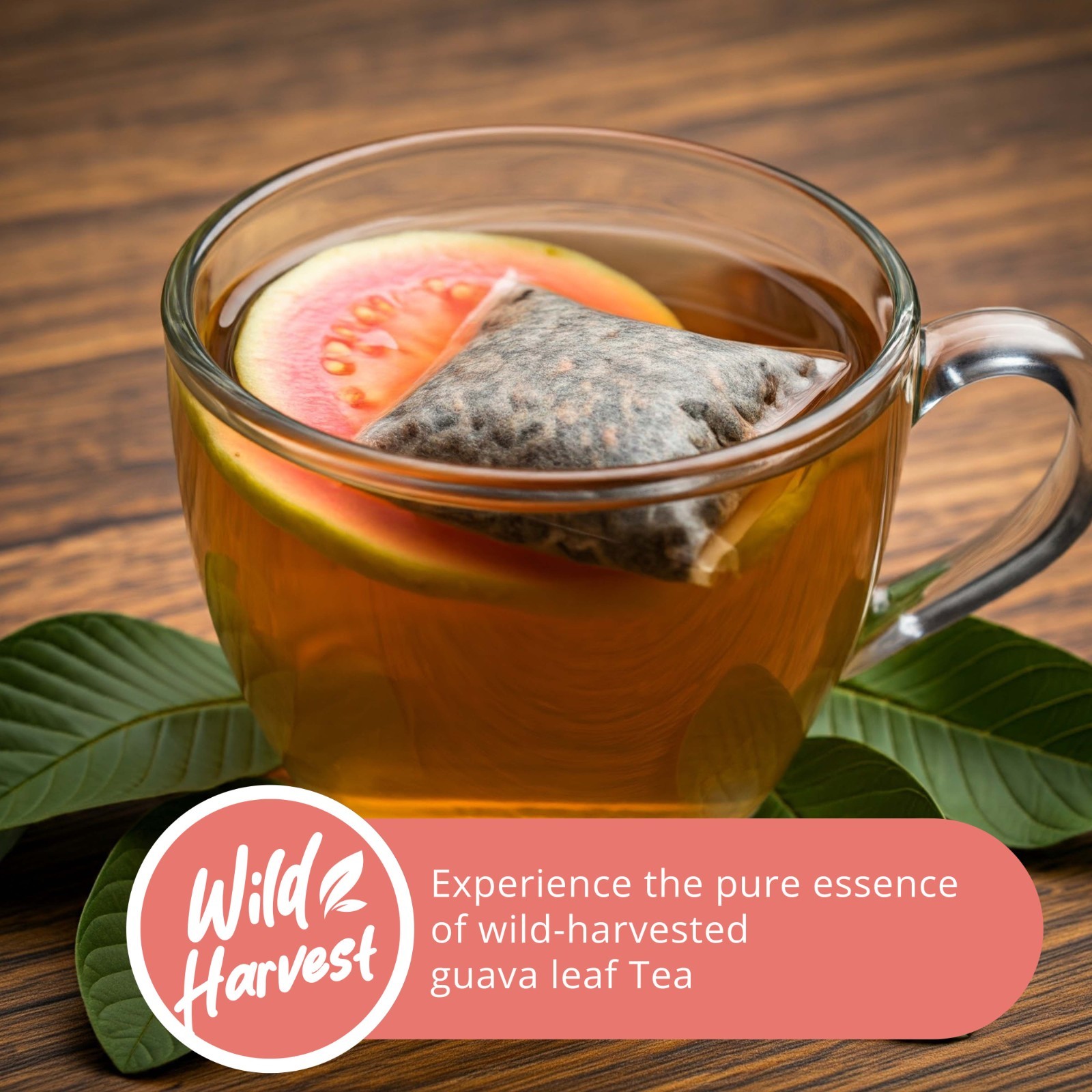 75 Guava Tea Bags, Pure Guava Leaves Tea, Te De Hojas de Guayaba, Herbal Tea