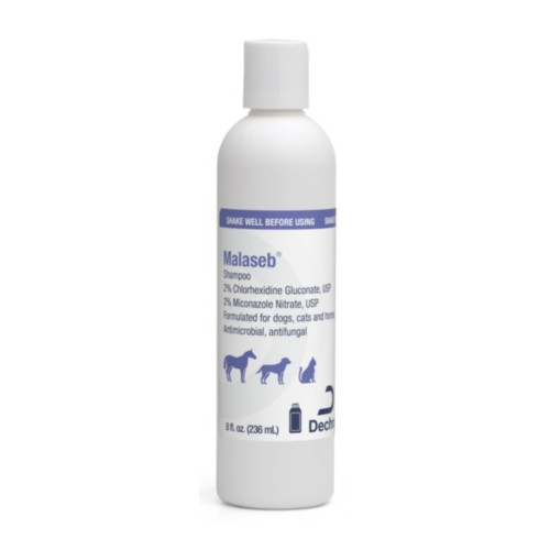 Dechra Malaseb Shampoo, 8 oz