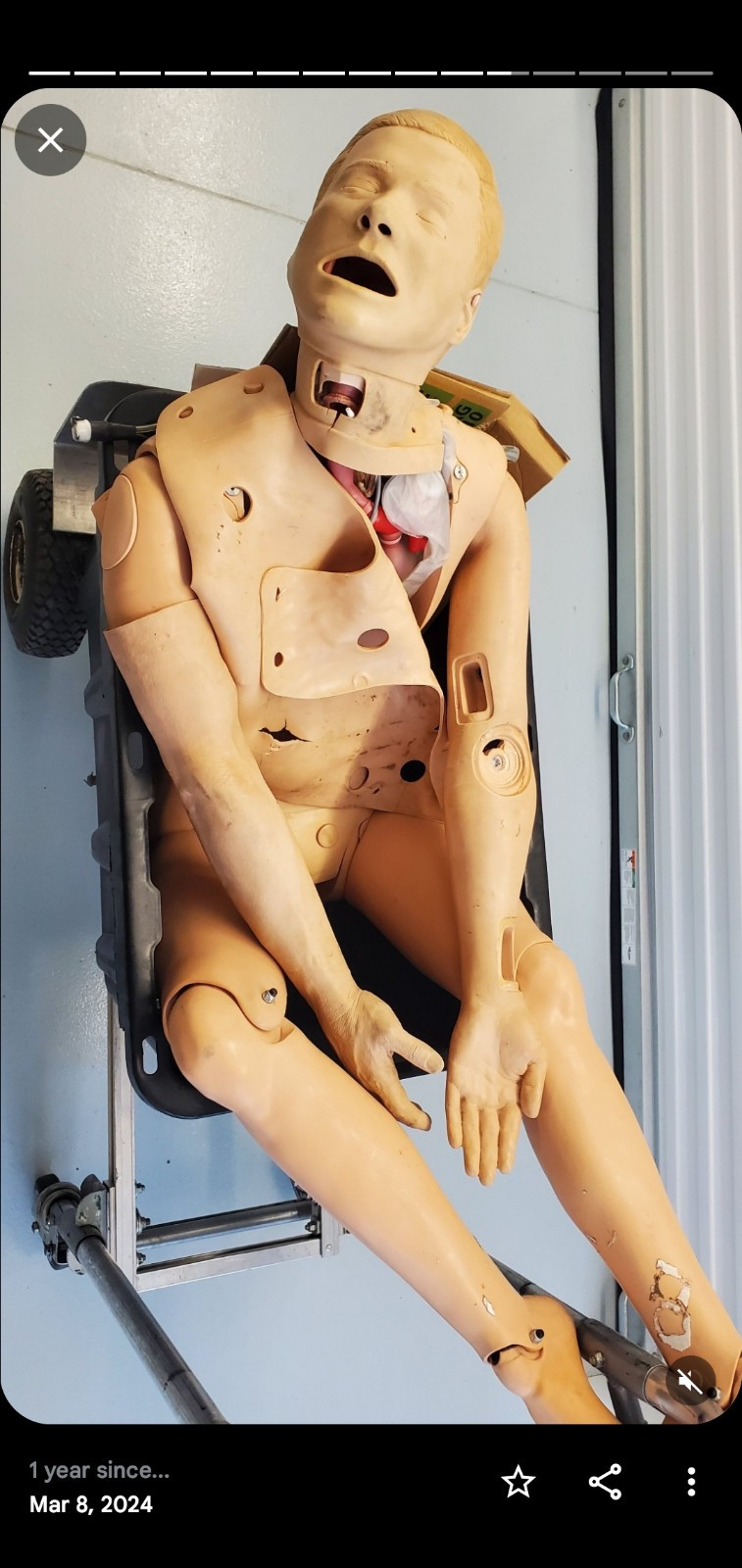 1 Laerdal  Nursing Anne Airway Management Full Body Training Manikin,