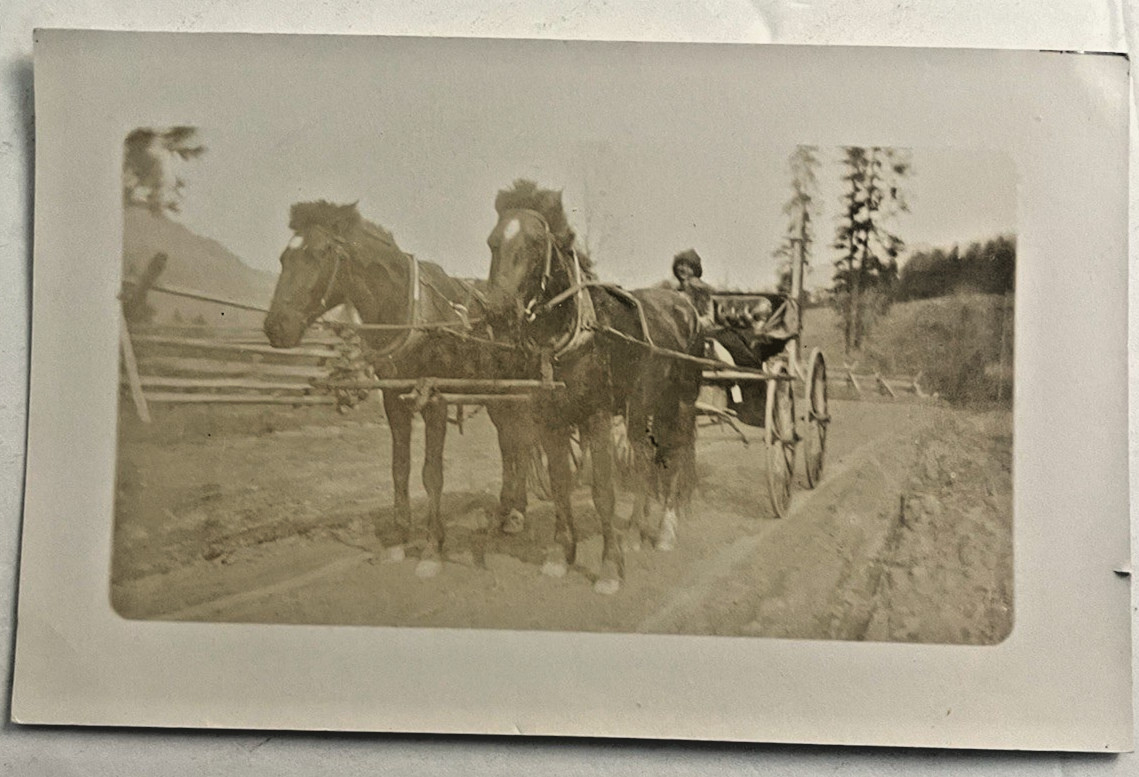 Vintage RPPC Real photo postcard little girl on horse drawn buggy Vintage RPPC Real photo postcard little girl on horse drawn buggy