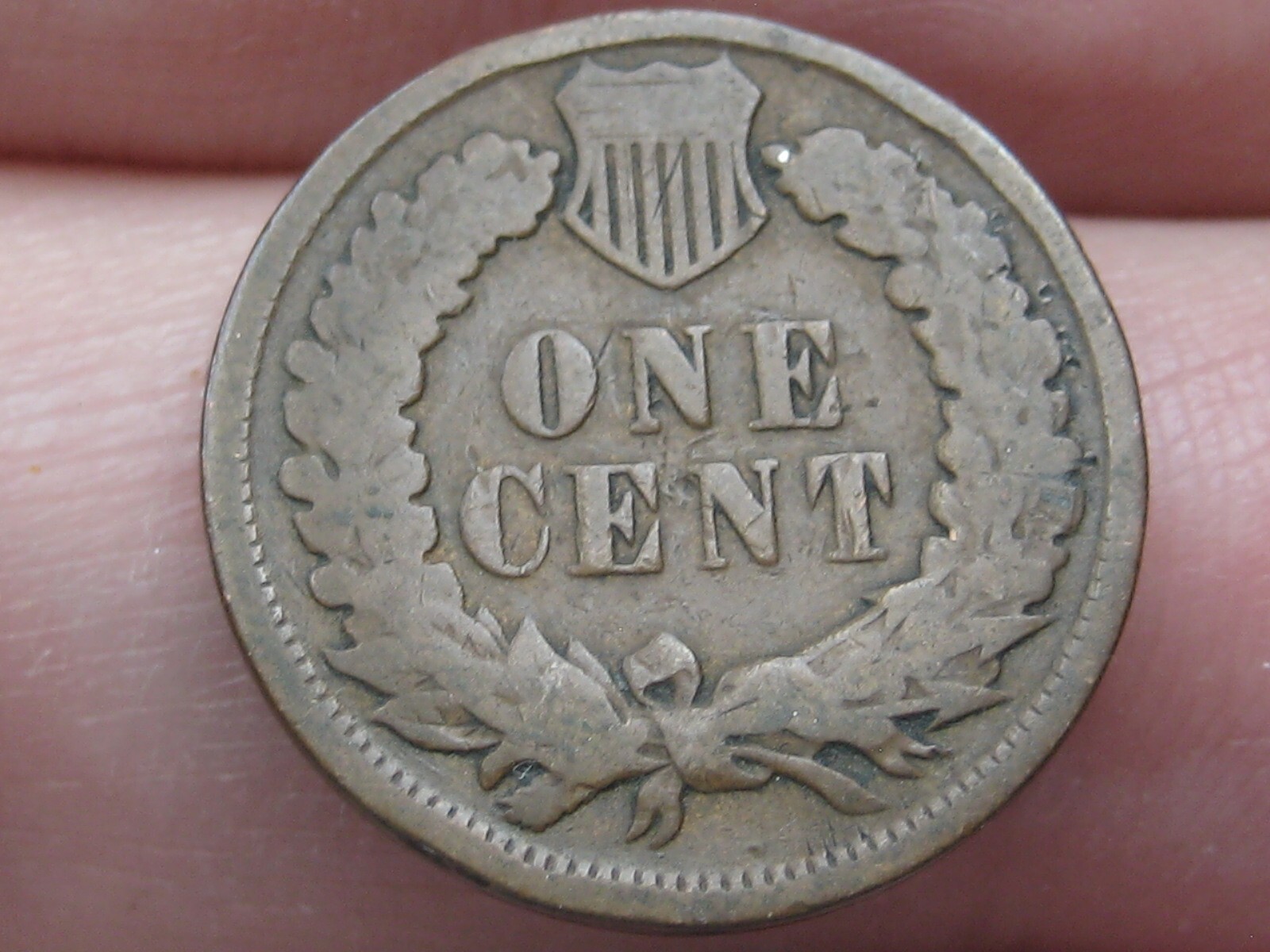 1894 Indian Head Cent Penny, VG Details, Chocolate Brown 1894 Indian Head Cent Penny, VG Details, Chocolate Brown