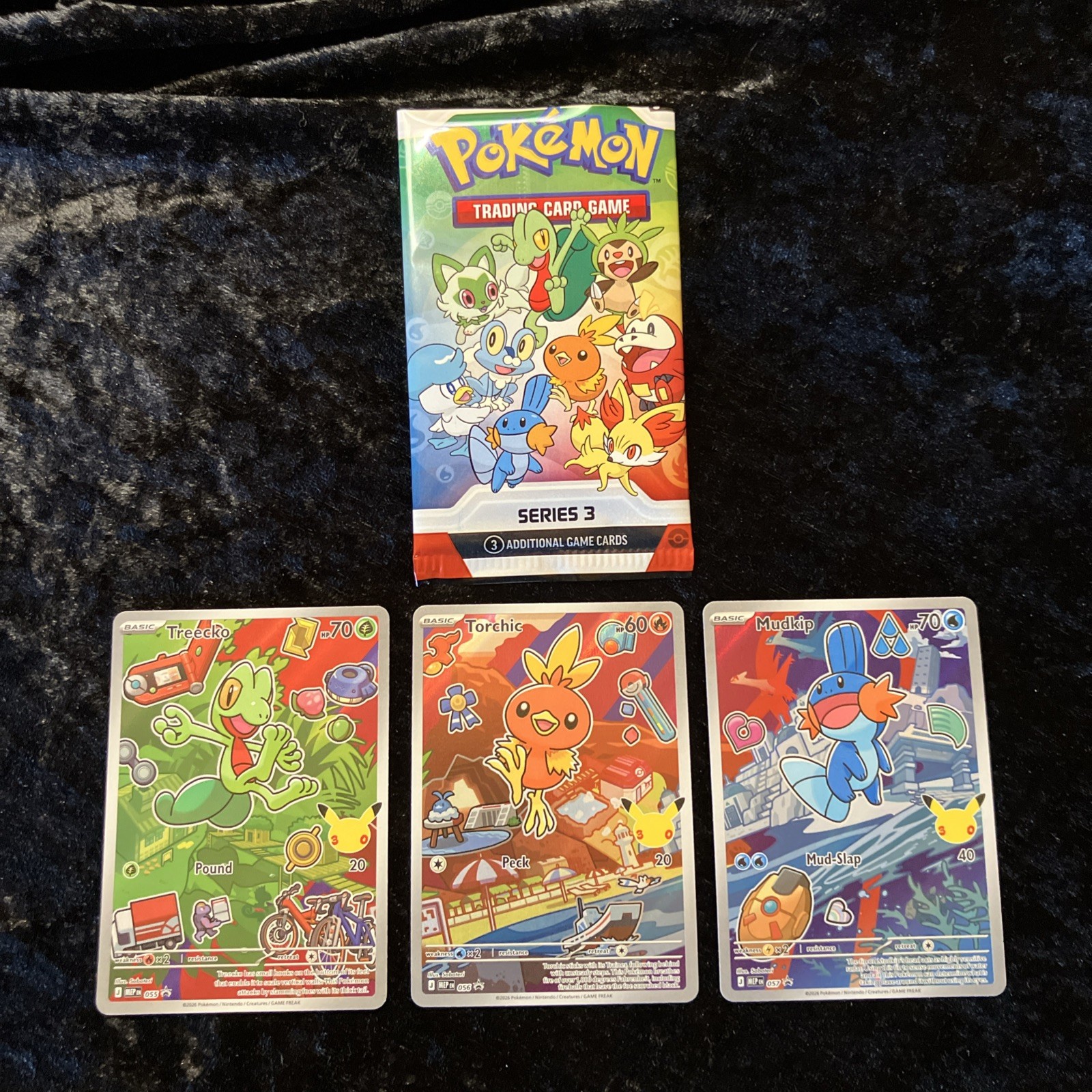 Pokemon First Partner Illustration Set Hoenn Series 3 TREECKO MUDKIP TORCHIC NM