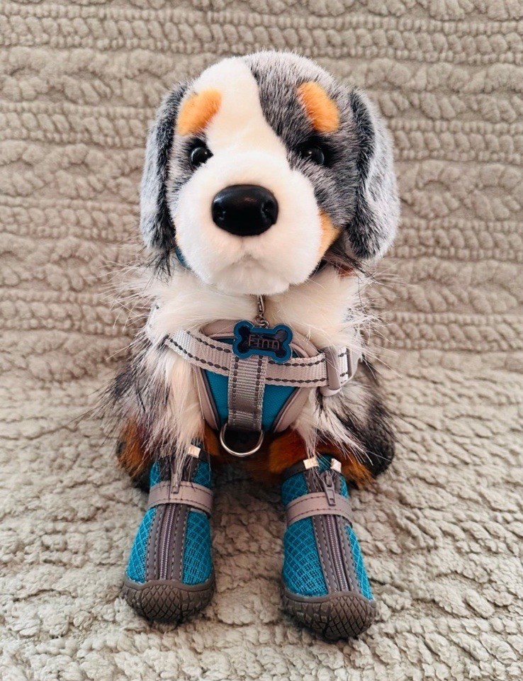 Douglas Essa Dog & 10PC GEAR Sinclair Australian  Shepherd Douglas Cuddle Toy