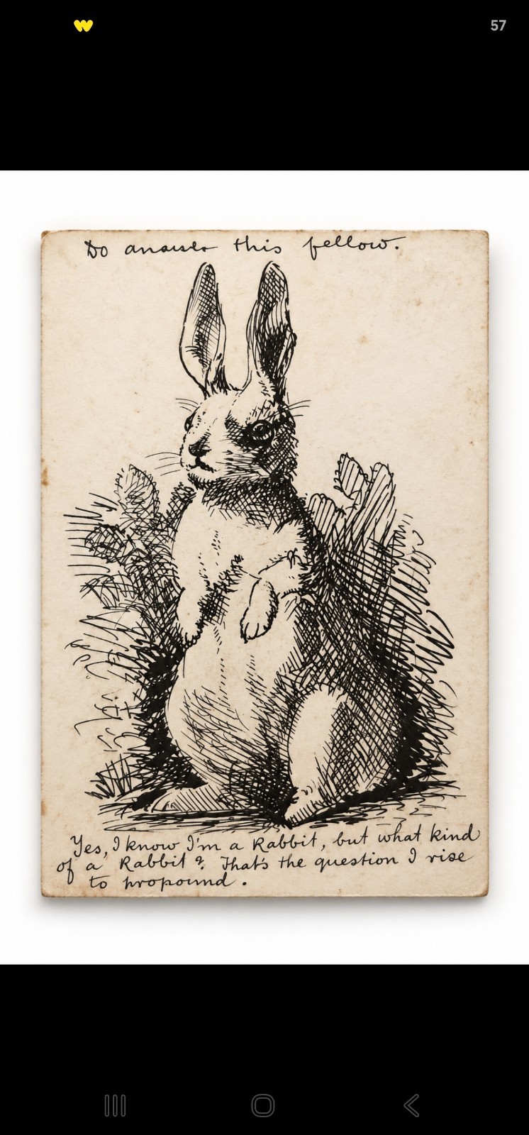 Antique 1911 Rabbit Pen & Ink Drawing Edwardian Humorous Original Art Antique 1911 Rabbit Pen & Ink Drawing Edwardian Humorous Original Art