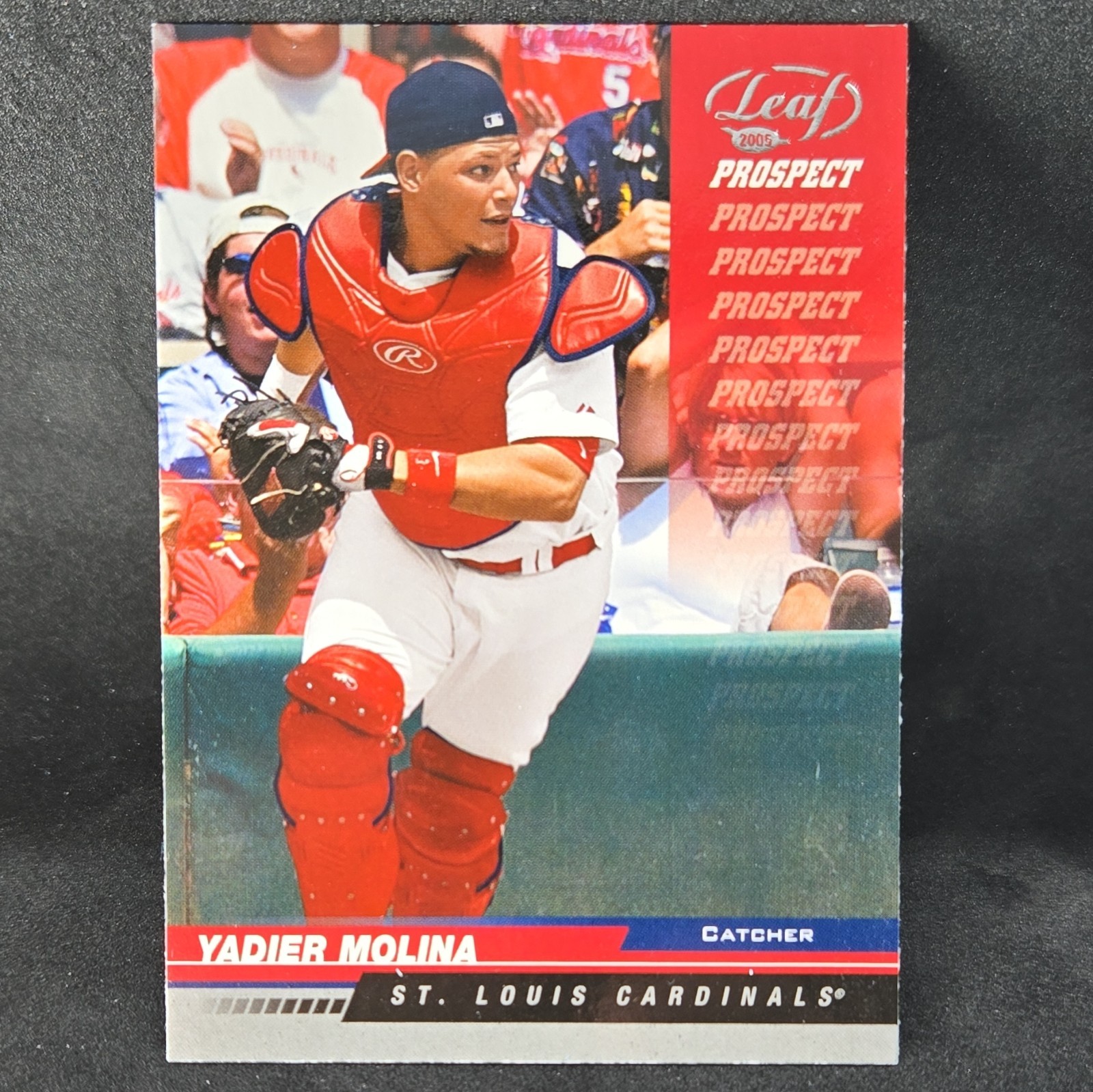 2005 Leaf Prospect Yadier Molina #250 St. Louis Cardinals Baseball Card 2005 Leaf Prospect Yadier Molina #250 St. Louis Cardinals Baseball Card