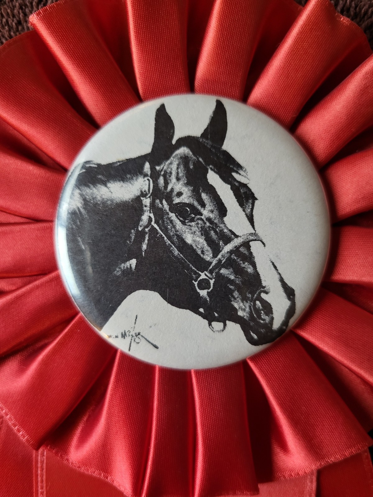 RICHLAND COUNTY Horse Show Ribbon Award Equestrian RICHLAND COUNTY Horse Show Ribbon Award Equestrian