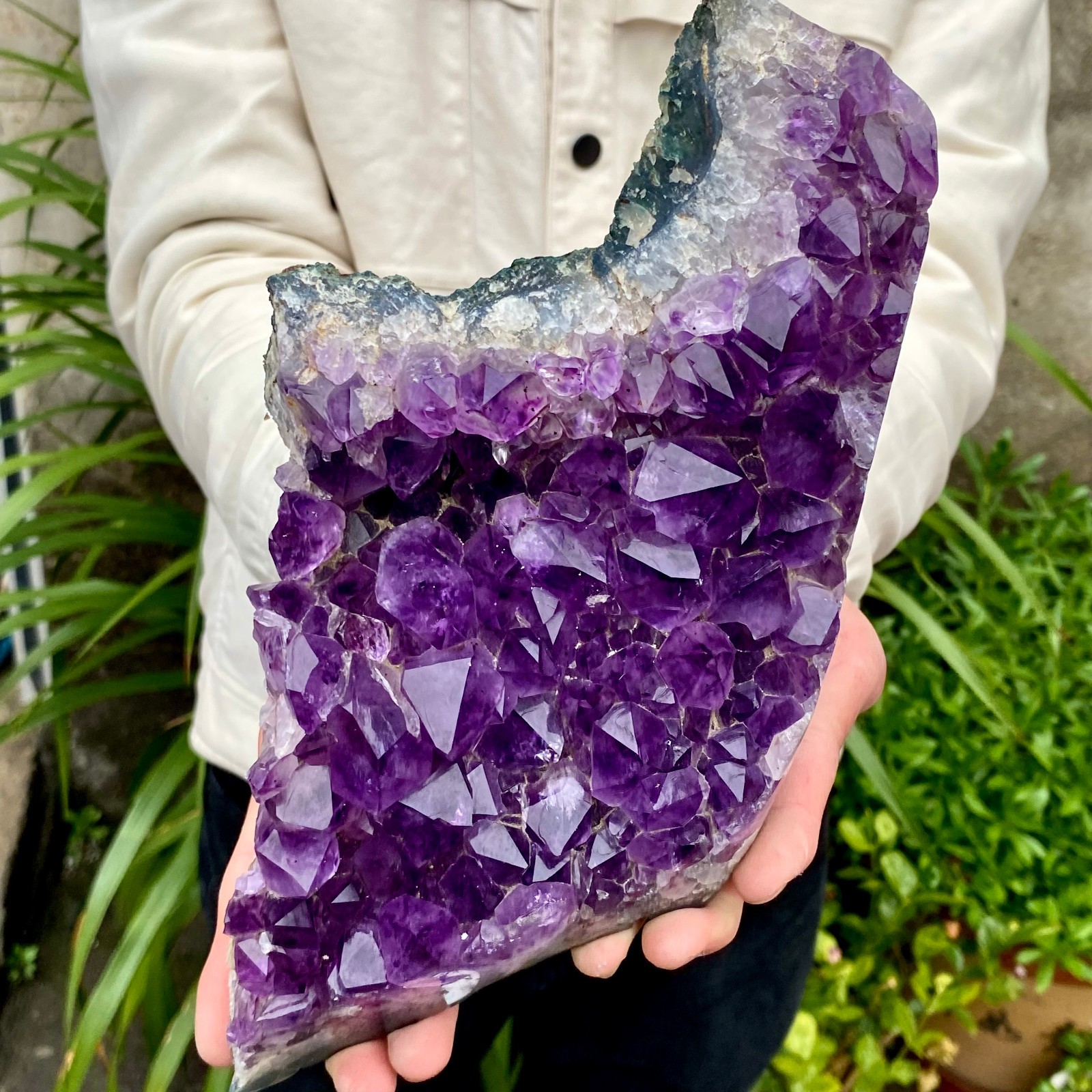 5.13LB Natural Amethyst cluster quartz cluster crystal mineral specimen Healing
