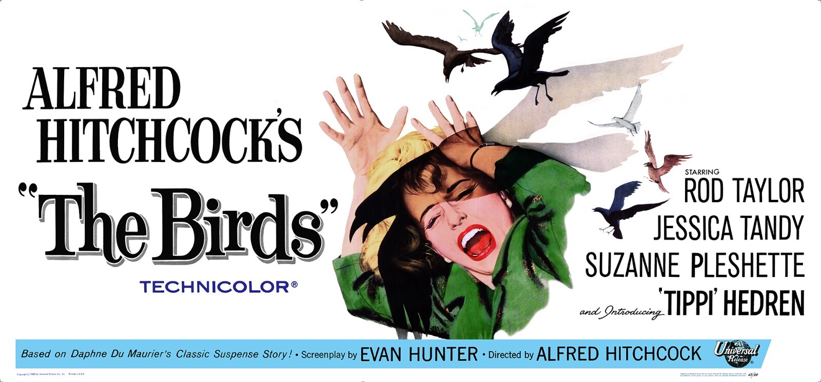 THE BIRDS (1963) HUGE 27