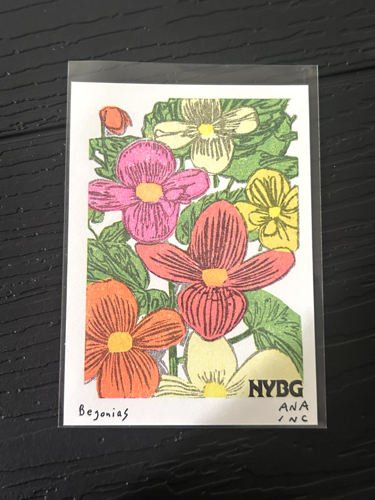 NEW & CHEAPEST - Ana Inciardi Mini Prints (Maine Exclusive +) NEW & CHEAPEST - Ana Inciardi Mini Prints (Maine Exclusive +)