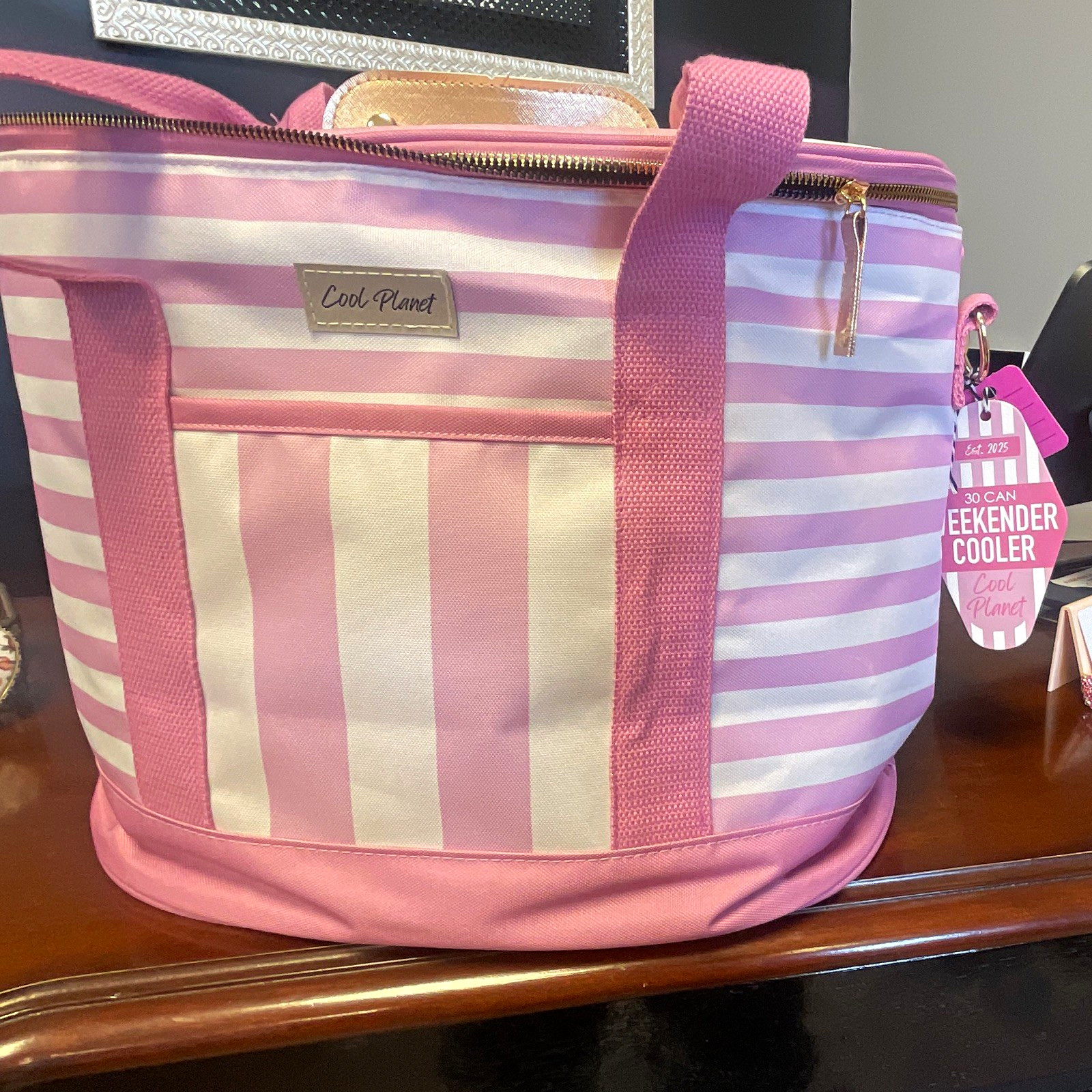 Cool Planet Weekender 30-Can Striped Insulated Cooler Bag, Strap, Zipper