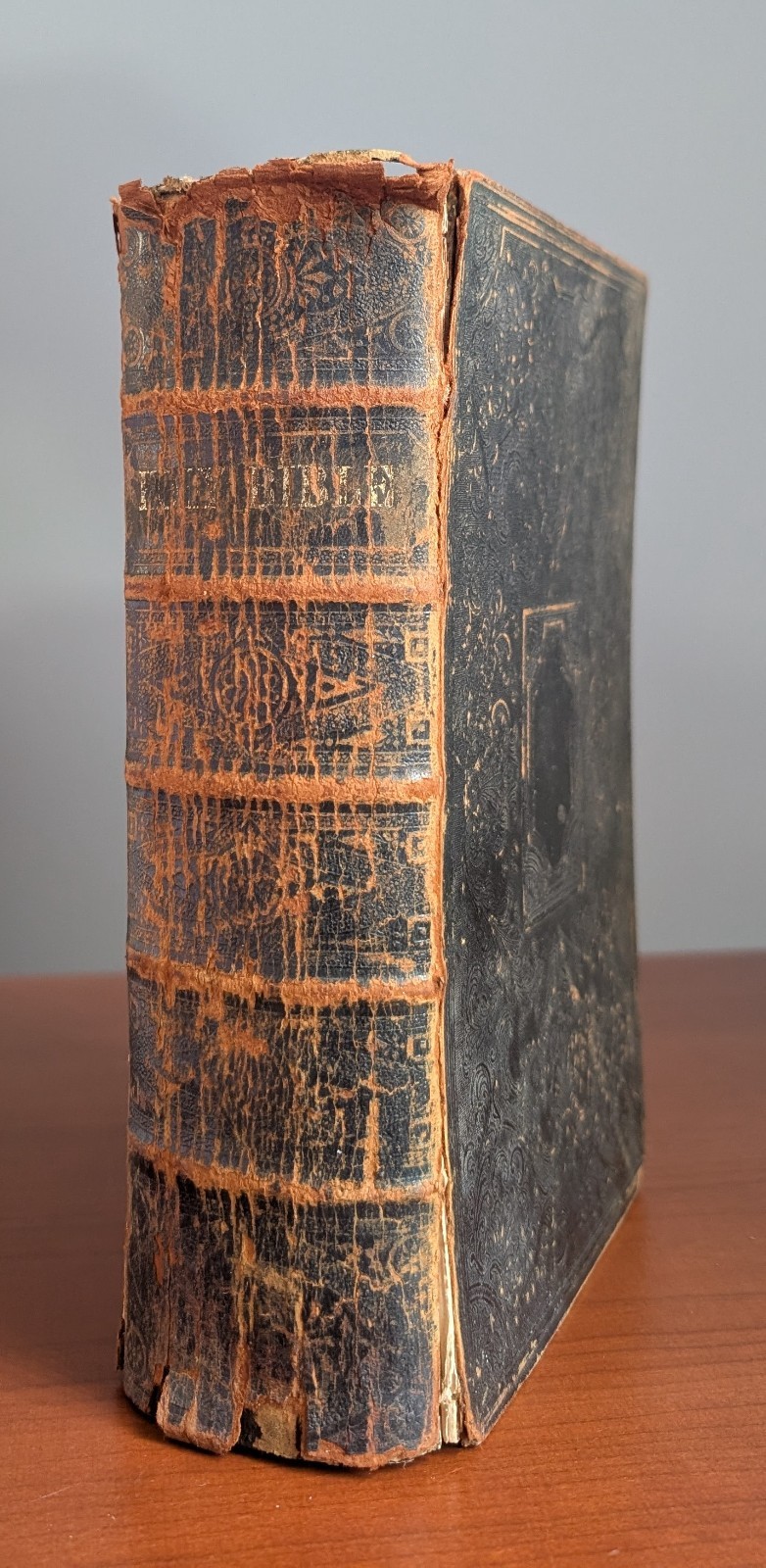 1853 Holy Bible American Bible Society Antique Leather Family Genealogy Records