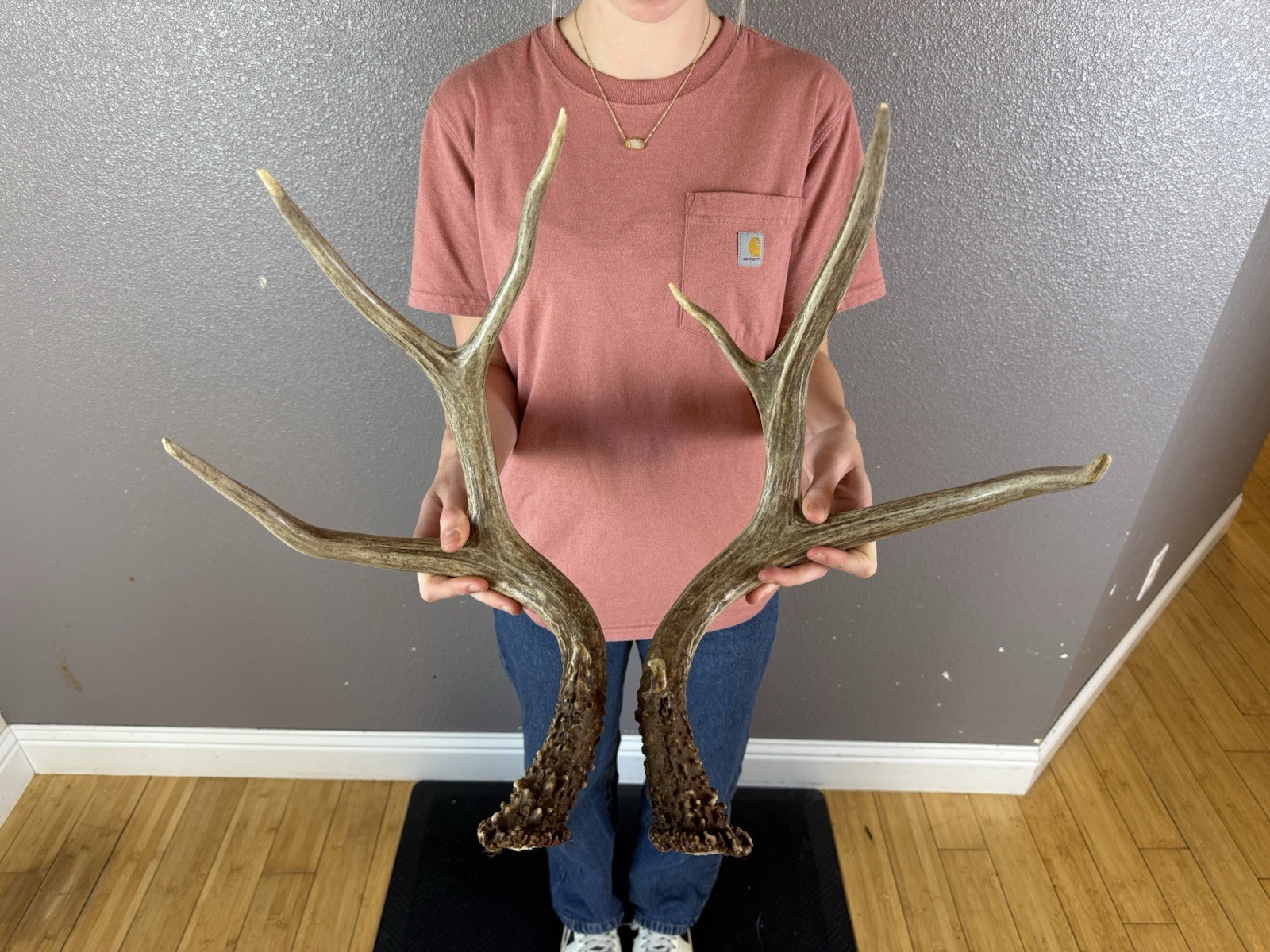 Matched Set Mule Deer Sheds Antlers 4x4 WILD IDAHO Horns Wedding Decor Matched Set Mule Deer Sheds Antlers 4x4 WILD IDAHO Horns Wedding Decor
