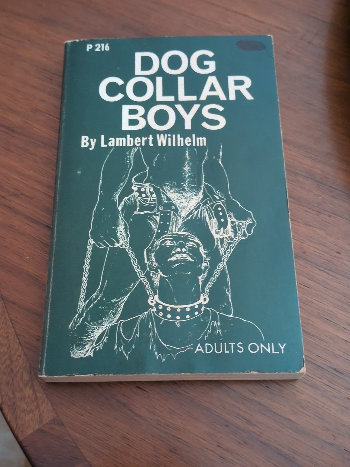 RaRe Parisian Press DOG COLLAR BOYS Pulp Fiction Novel Book P216 GaY InTeResT