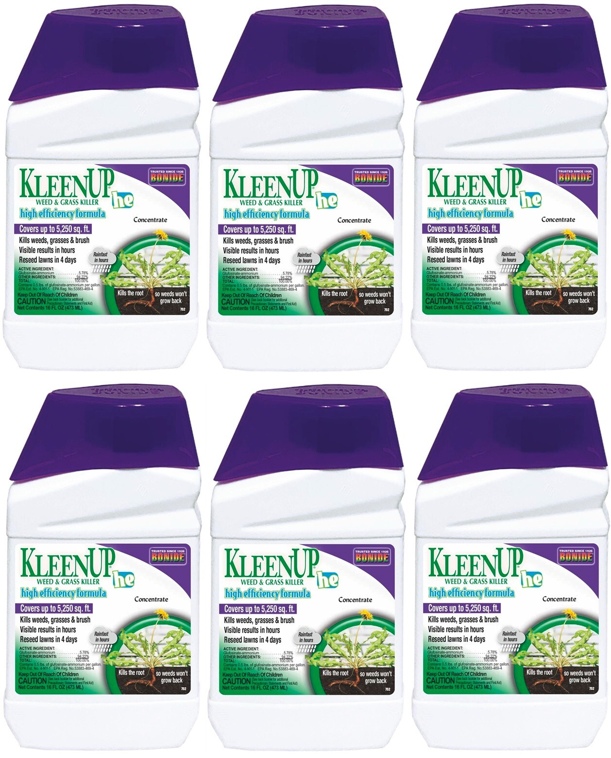 Bonide 753 KleenUp HE 32 oz Concentrated Weed & Grass Killer - Pack of 6