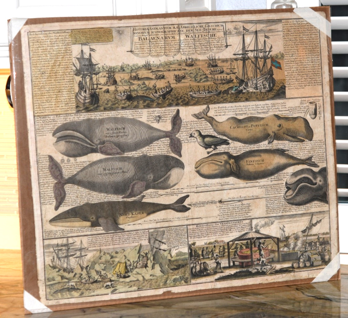 Antique, 18th-century hand-colored whaling engraving by the Hormann Heirs