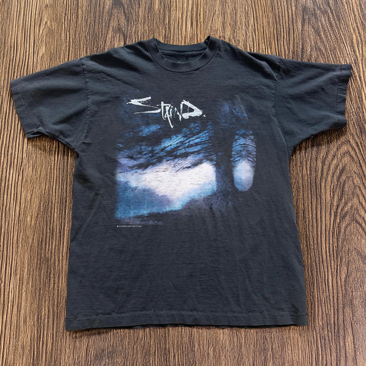 Staind Shirt Vintage Alternative Nu Metal Rock Band Graphic Tee