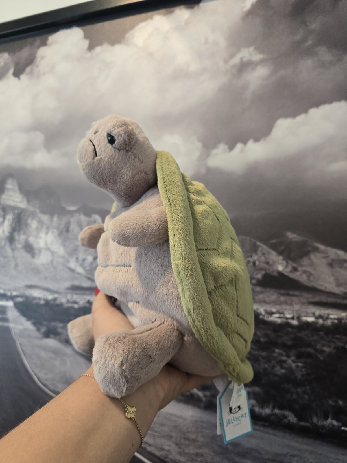 Jellycat London Timmy Turtle Medium New with Tags Authentic NWT Plush Jellycat London Timmy Turtle Medium New with Tags Authentic NWT Plush