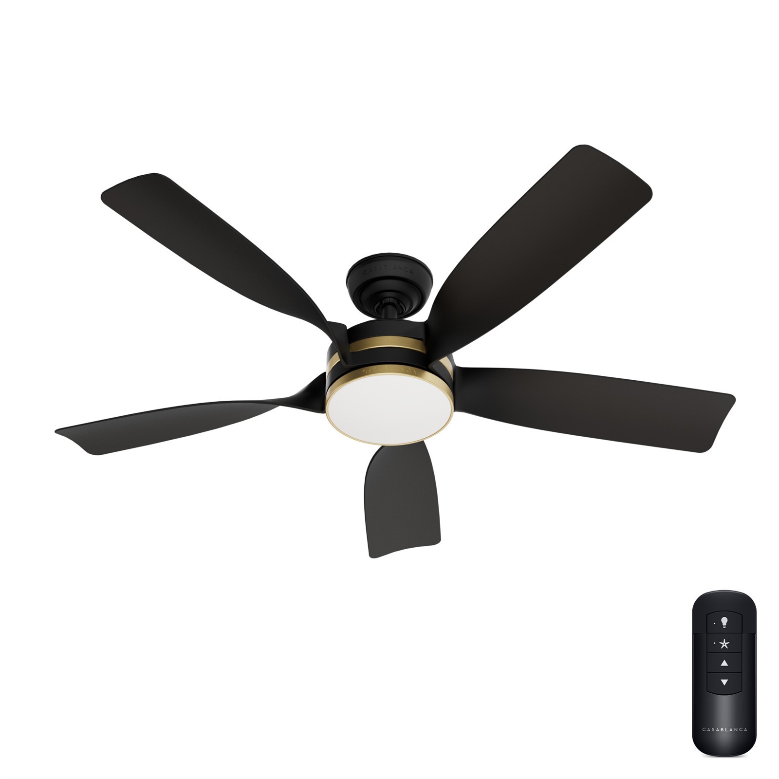 Casablanca Fan 52 inch Matte Black Outdoor Ceiling Fan with Light and Remote