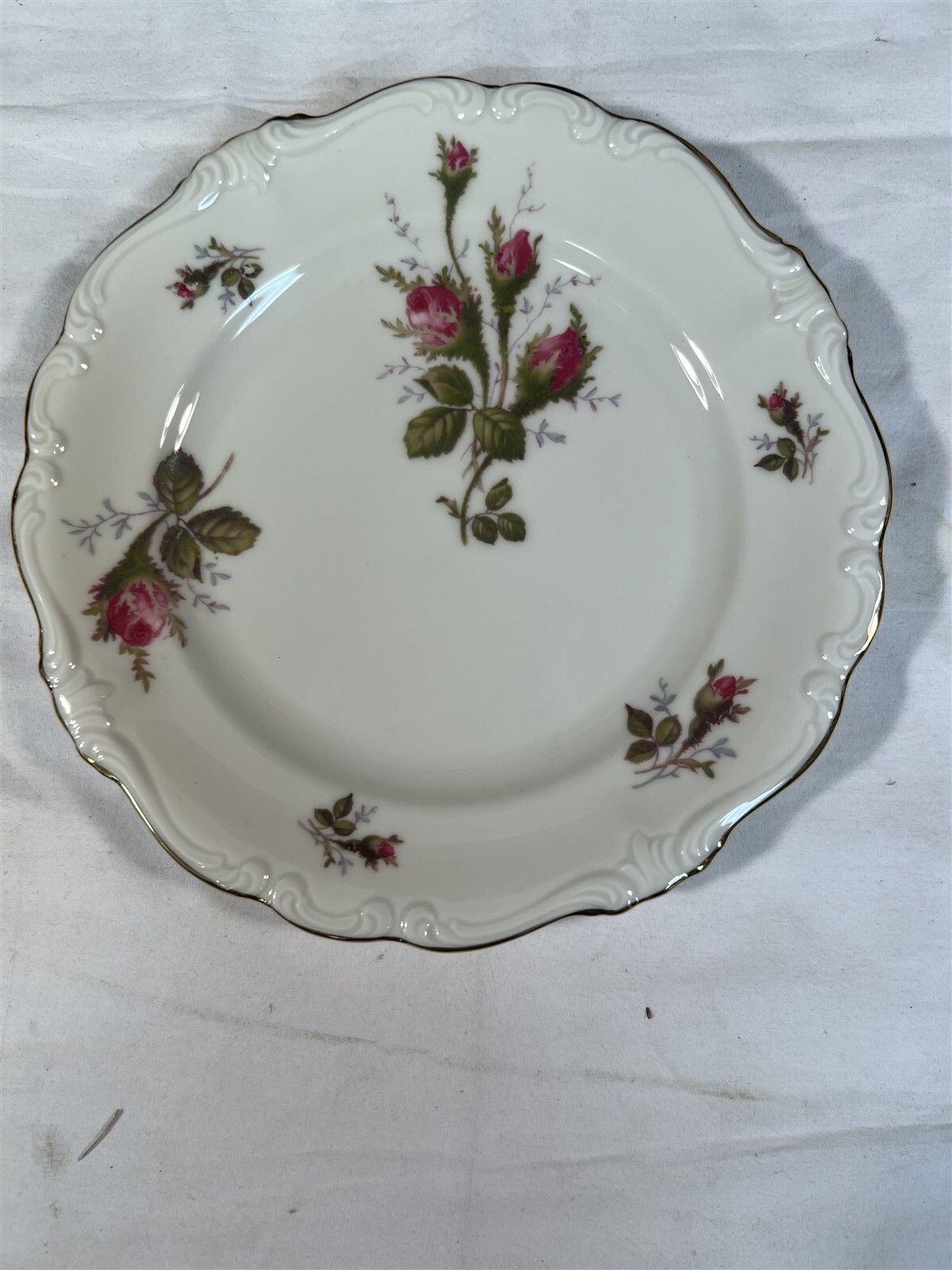 Rosenthal Moss Rose Pompadour Dinner Plate 10\ Rosenthal Moss Rose Pompadour Dinner Plate 10\