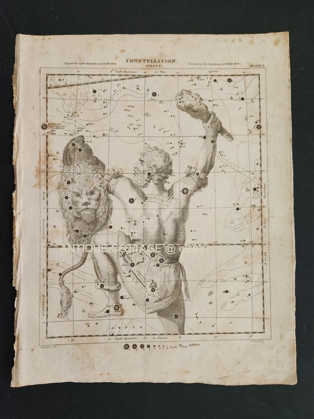 1810s antique CONSTELLATION ORIAN original ENGRAVING etching rees\'s encyclopedia