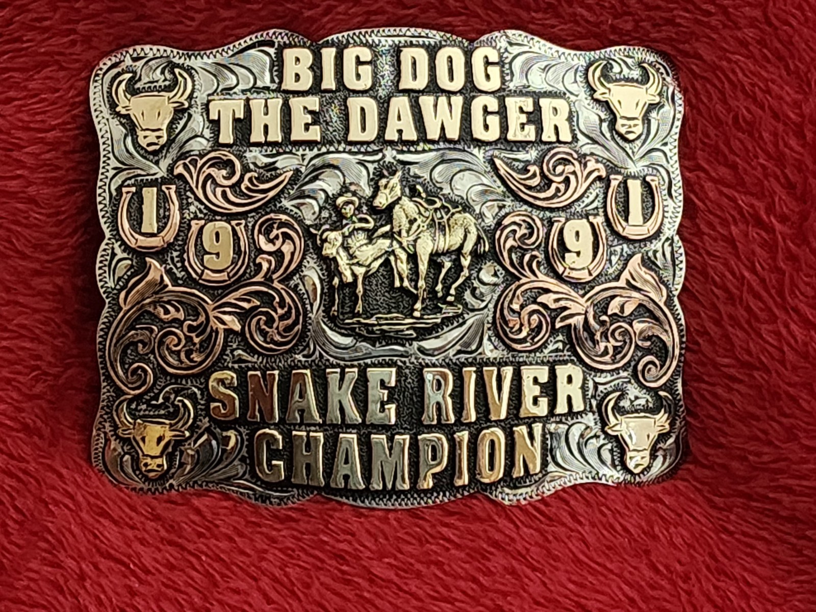 Bulldogging X~Treme Rodeo Champion Trophy Buckle☆Snake River☆1991☆Rare☆747
