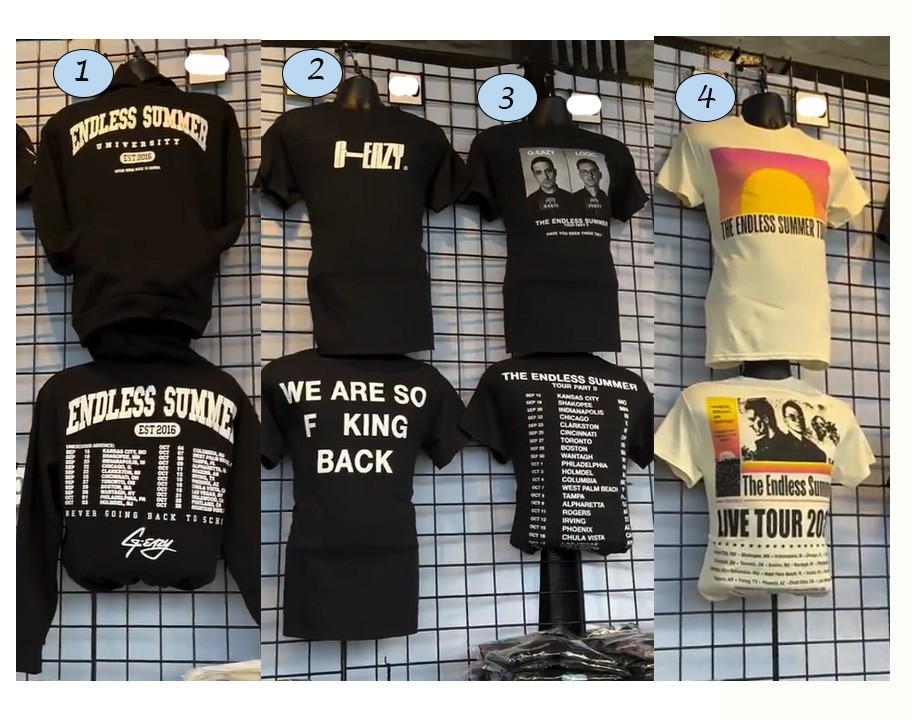 Endless Summer Tour 2026 Concert Merch Graphic Tee Reprint