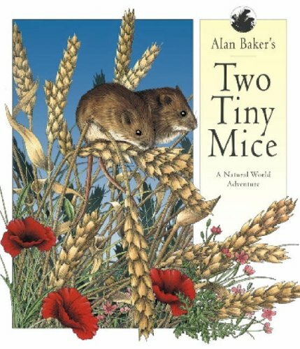 Two Tiny Mice By Alan Baker. 9781840111934