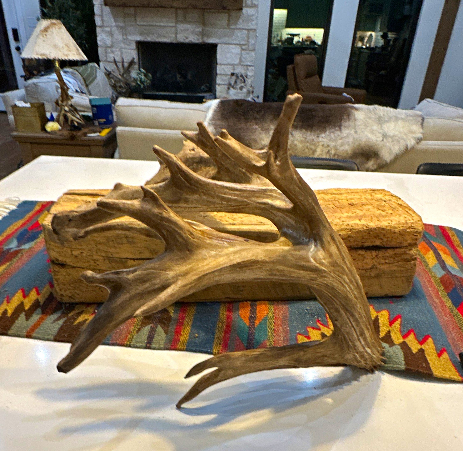 Deer Shed antler huge 22 point cutoff Deer Shed antler huge 22 point cutoff