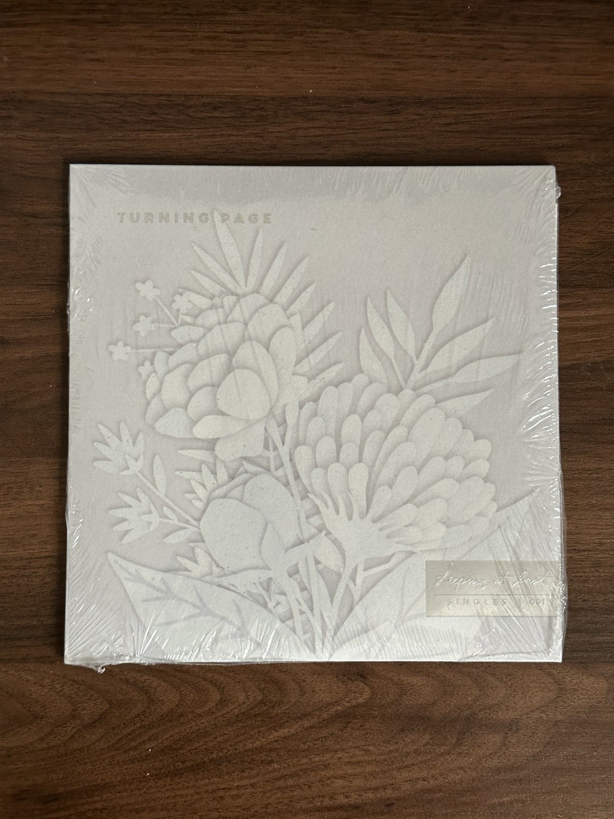 Sleeping At Last, Turning Page 7” Vinyl Record, Marble Colored Vinyl, Sealed Sleeping At Last, Turning Page 7” Vinyl Record, Marble Colored Vinyl, Sealed