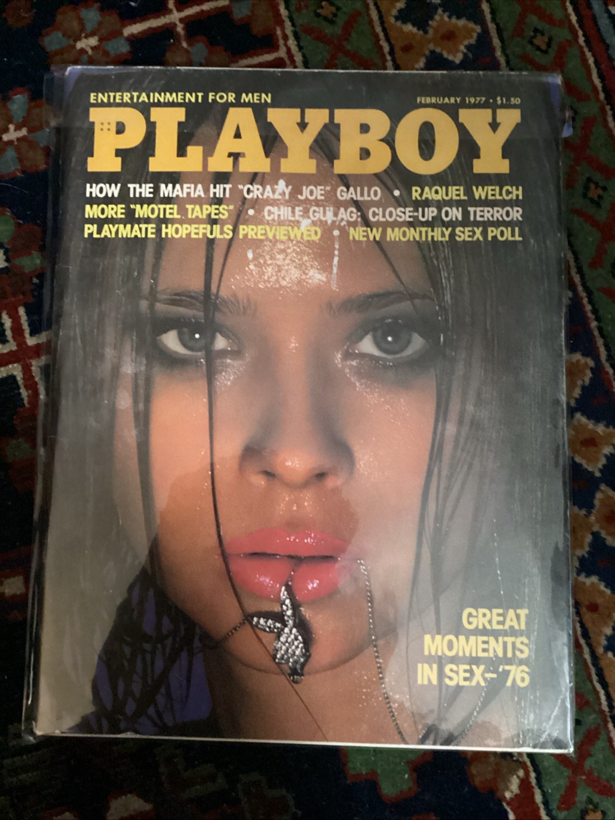 Playboy Magazine- February 1977- Centerfold Intact- Pristine Condition Playboy Magazine- February 1977- Centerfold Intact- Pristine Condition