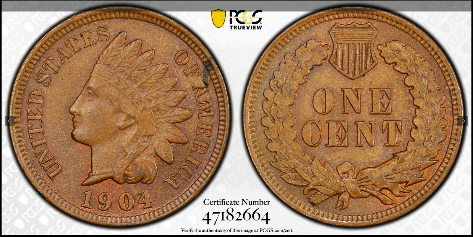 :1904 1C INDIAN PRINCESS CHOICE PCGS MS63BN RARITY R4 LOW POP HIGHEST GRADES :1904 1C INDIAN PRINCESS CHOICE PCGS MS63BN RARITY R4 LOW POP HIGHEST GRADES