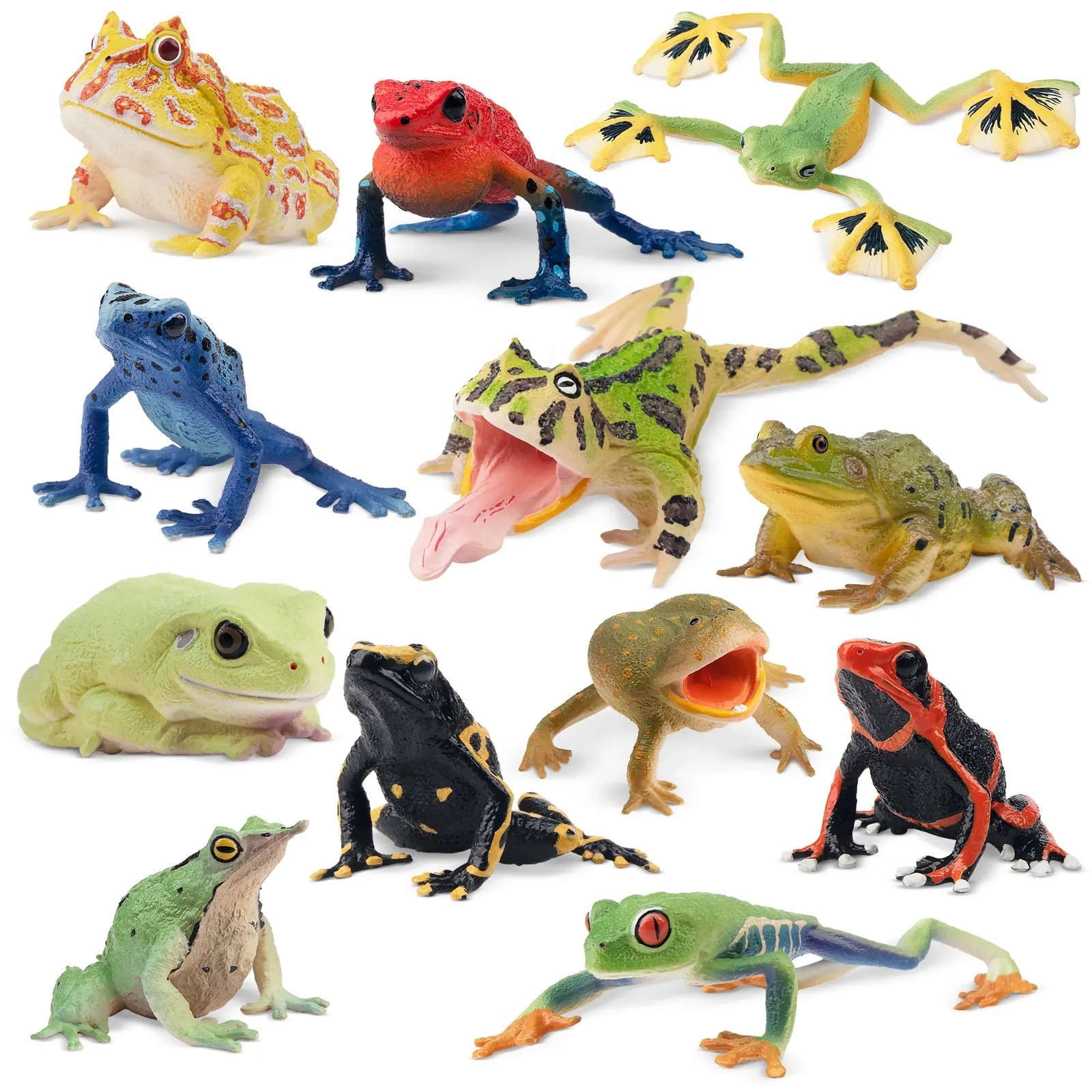 Toymany 12-pcs Frog Animal Figurine, Realistic, Collectible Hand-painted Toy Set Toymany 12-pcs Frog Animal Figurine, Realistic, Collectible Hand-painted Toy Set