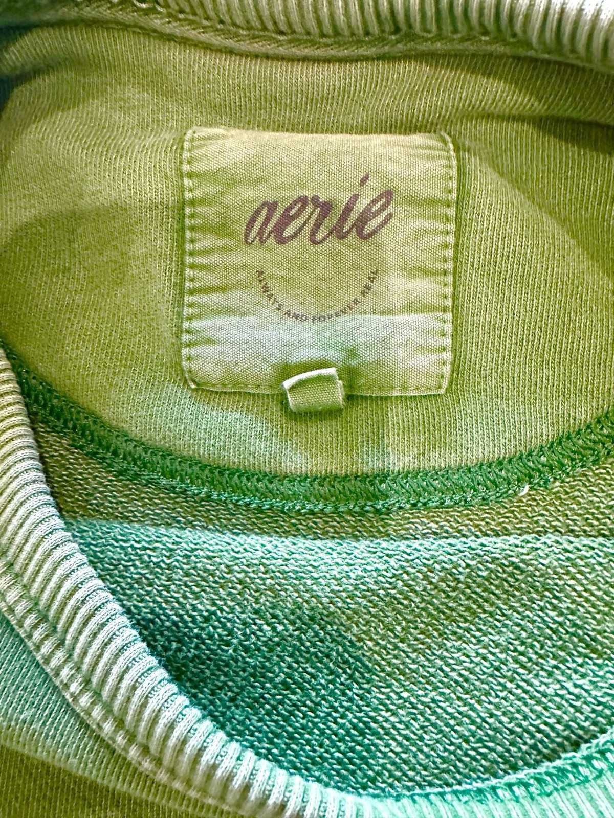 Aerie Distressed Crewneck Green Oversized sweatshirt Medium