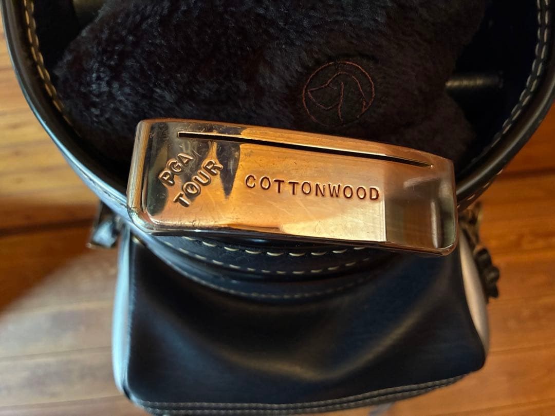 Ken Giannini Golf Putter Cottonwood 35\