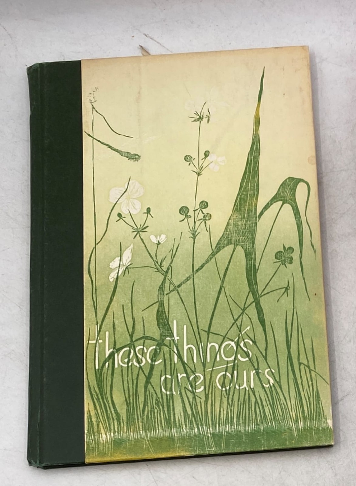 These Things Are Ours Hardcover