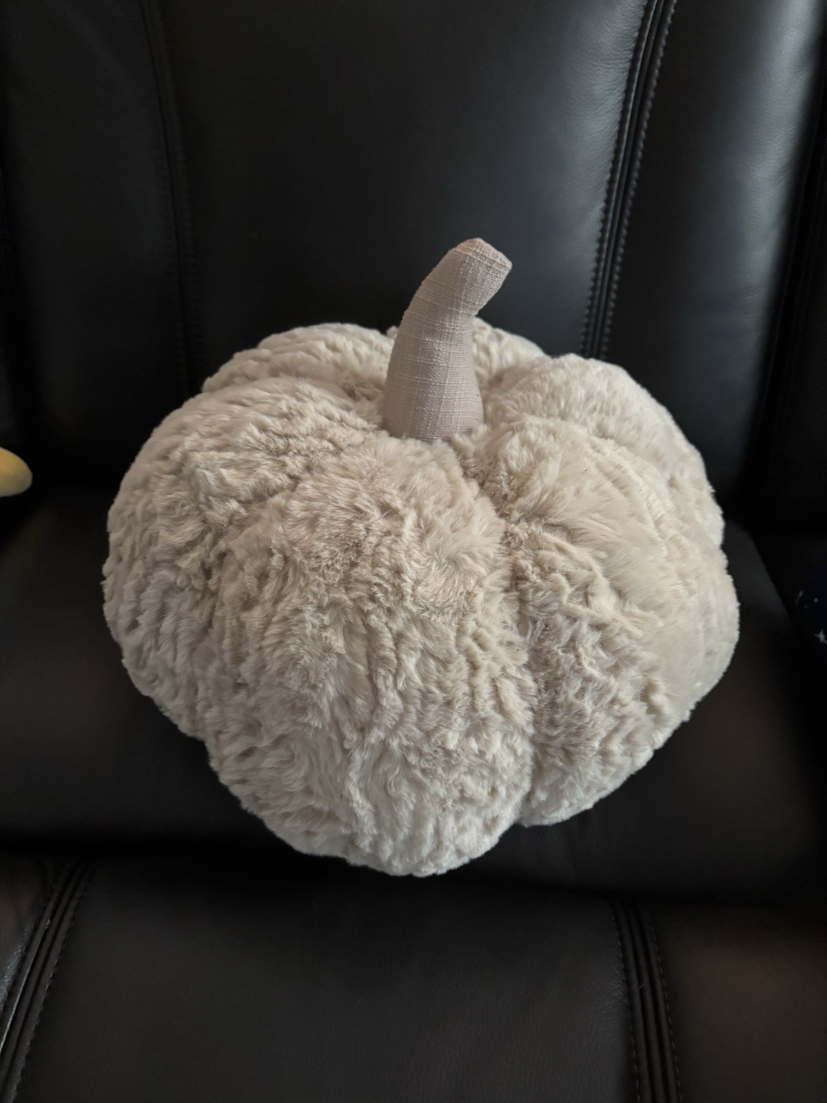 🔥NWT VIRAL TIK TOK COSTCO FUZZY PLUSH PUMPKIN PILLOW TAN 12x14” 🔥NWT VIRAL TIK TOK COSTCO FUZZY PLUSH PUMPKIN PILLOW TAN 12x14”