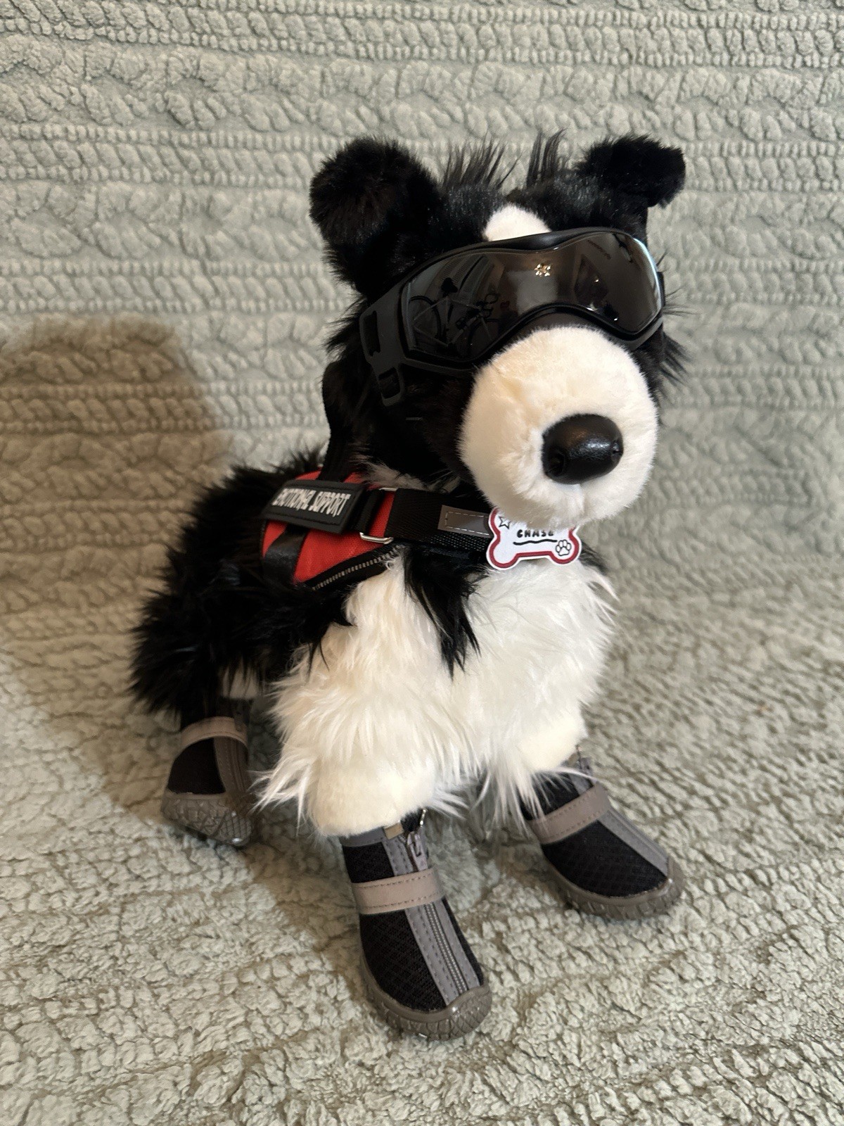 ESSA Chase Border Collie Dog Emotional Support Douglas Dog With Gear
