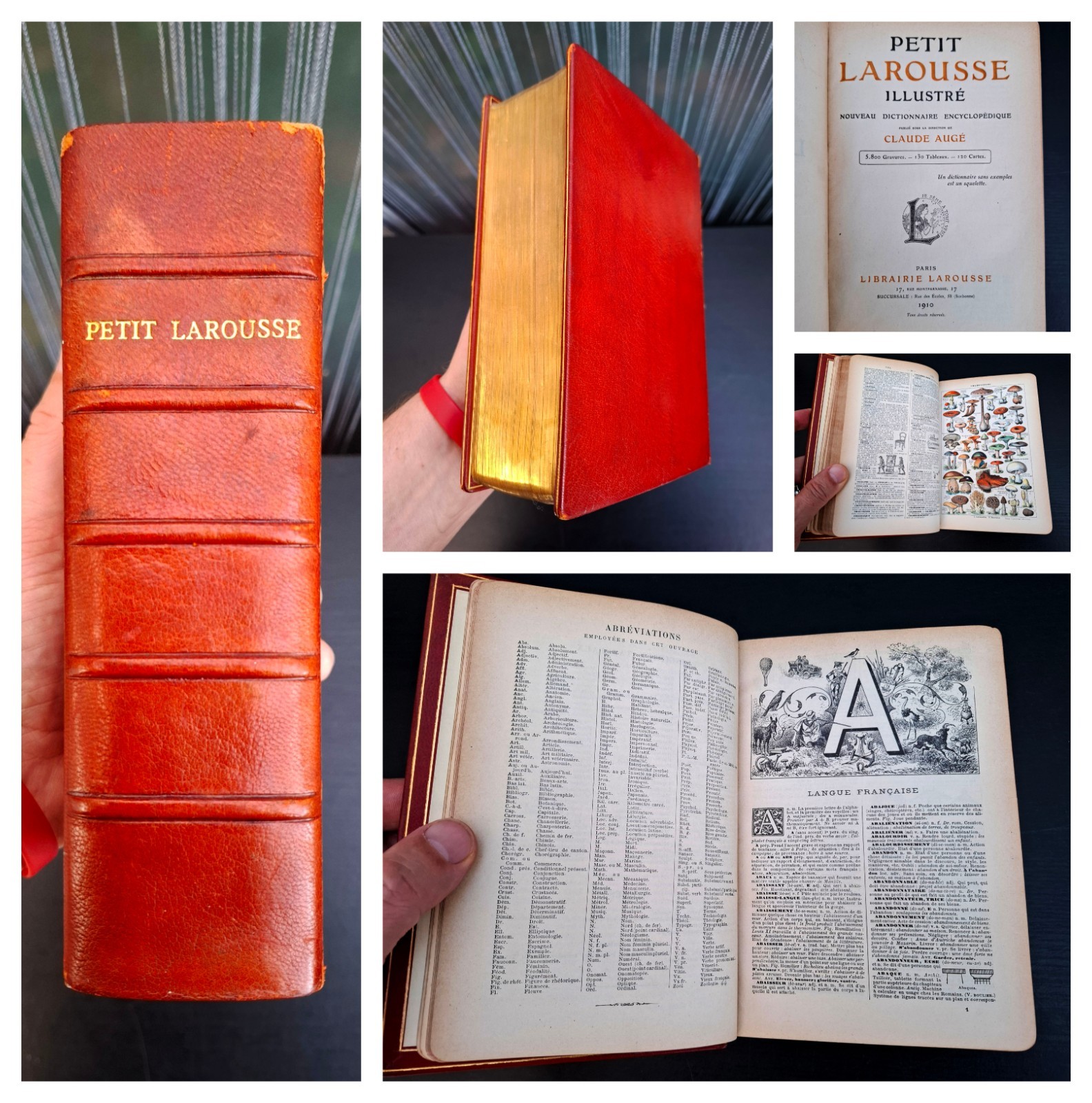 1910 - Petit Larousse Illustré French Encyclopedic Dictionary Full Leather Gilt