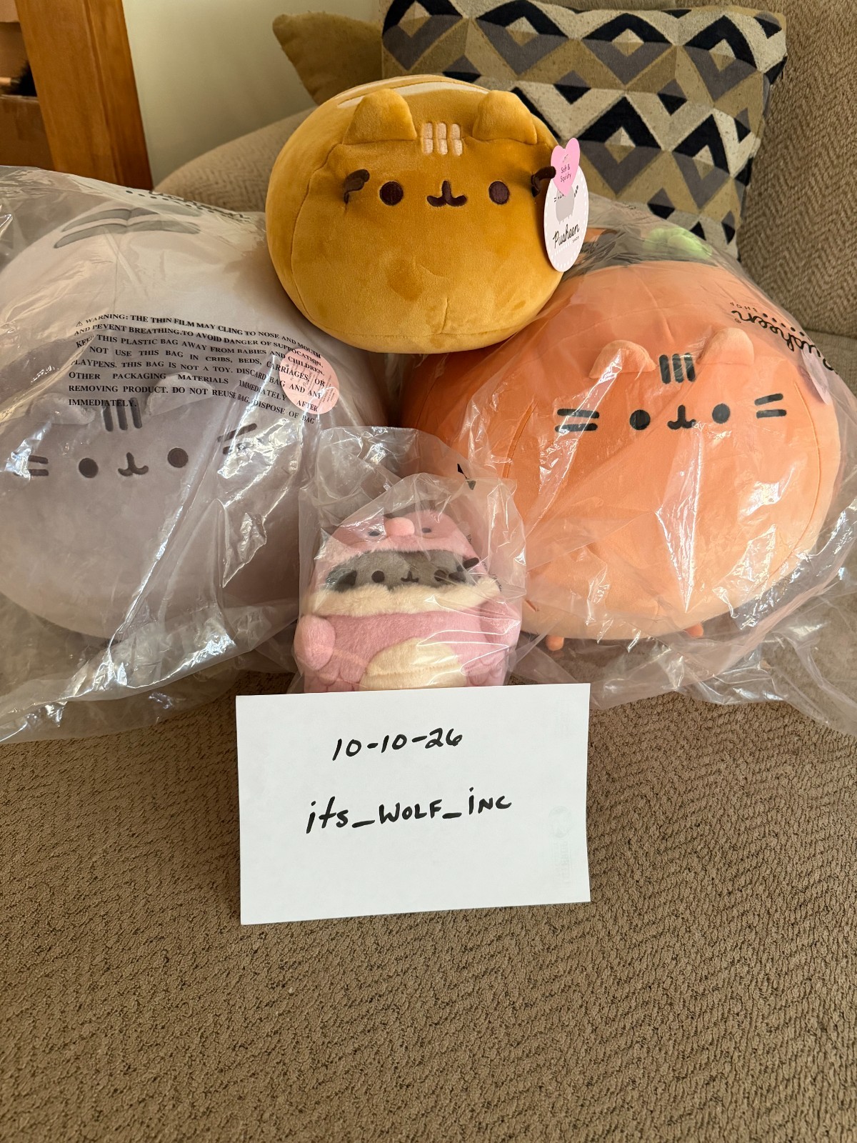 NEW BIG MOCHI PUSHEEN ULTIMATE BUNDLE NEW BIG MOCHI PUSHEEN ULTIMATE BUNDLE