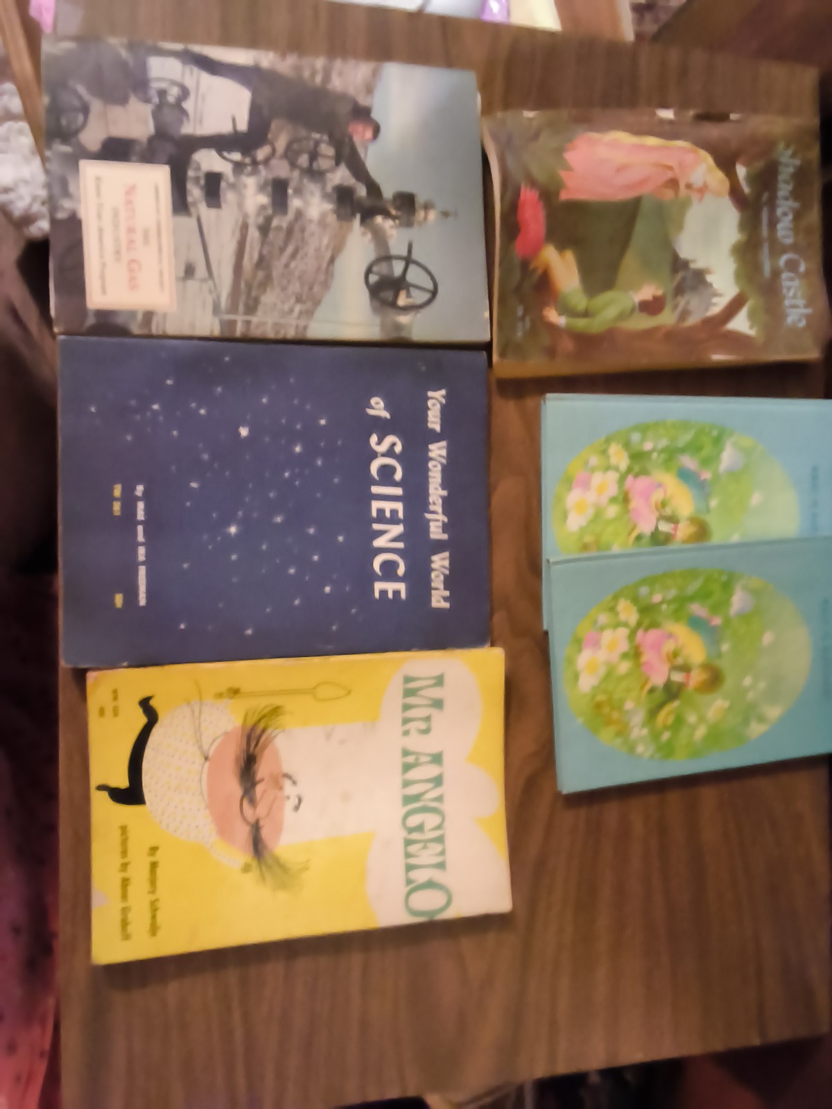 6 Vintage Children’s Book Lot-50\'s/70s 4 Paper 2 Dup Hard Copy 2 Educational.