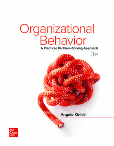 Organizational Behavior A Pratical, Problem-Solving Approach 3rd - VERY GOOD